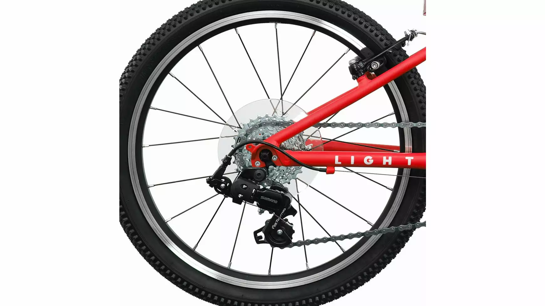 Bocas Light 20 5 Bocas Light 20 – Bild 5