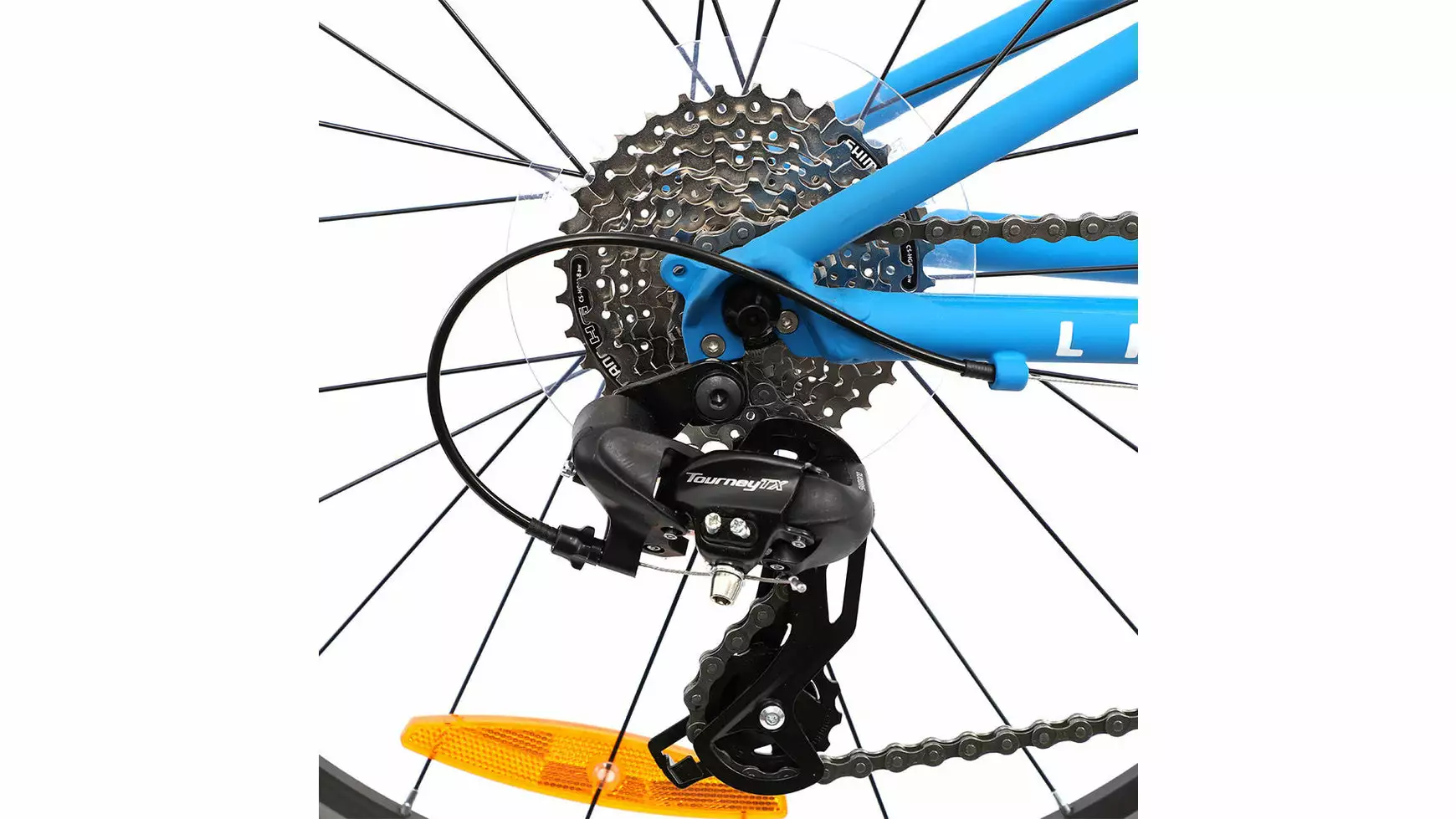 Bocas Light 24 2 Bocas Light 24 – Bild 2