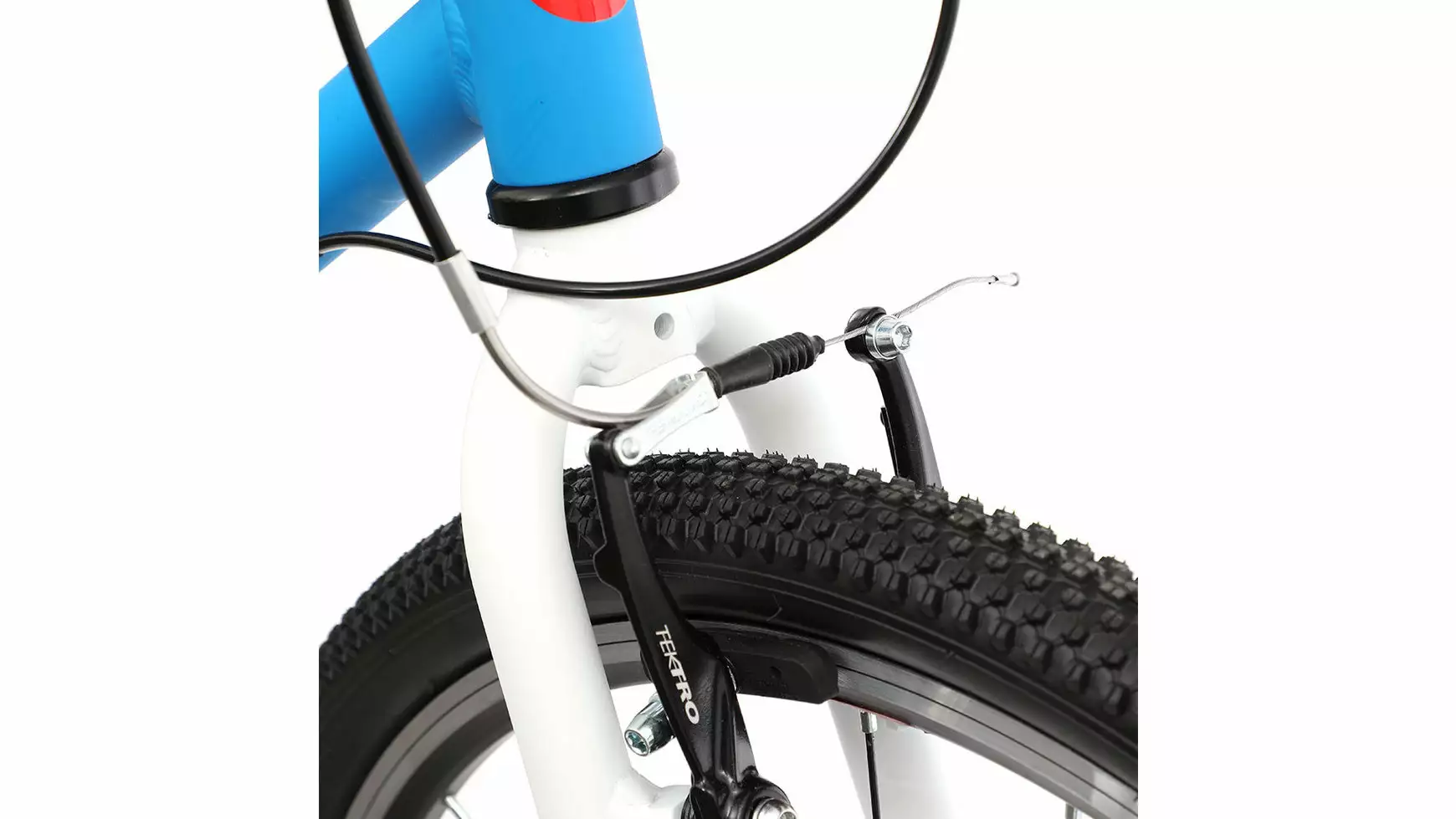 Bocas Light 24 4 Bocas Light 24 – Bild 4