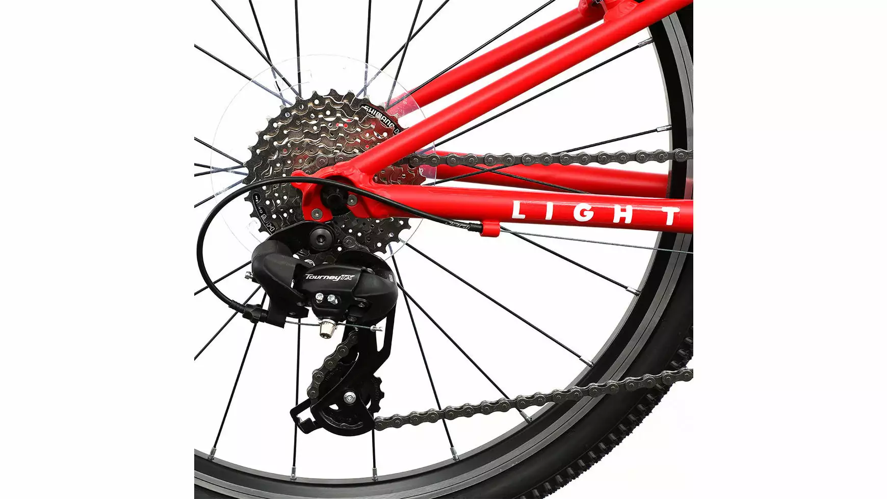 Bocas Light 24 6 Bocas Light 24 – Bild 6