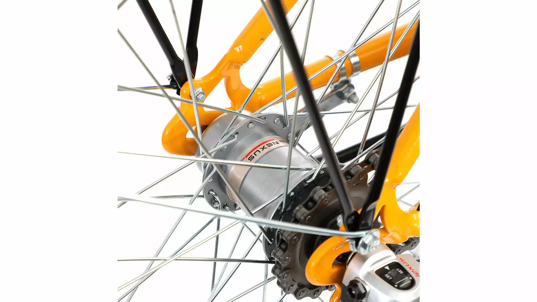 Bocas Stella 20.3 Wave 2 Bocas Stella 20.3 Wave – Bild 2