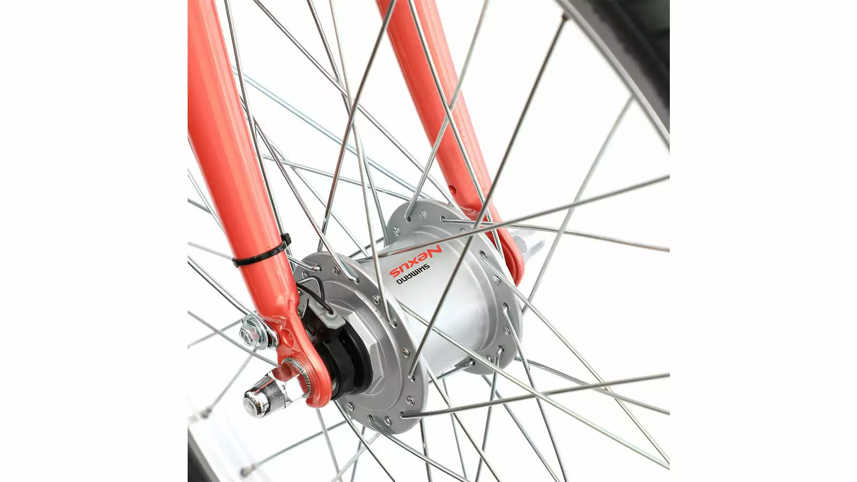 Bocas Stella 20.3 Wave 9 Bocas Stella 20.3 Wave – Bild 9