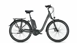 Raleigh Kingston 8 XXL RT