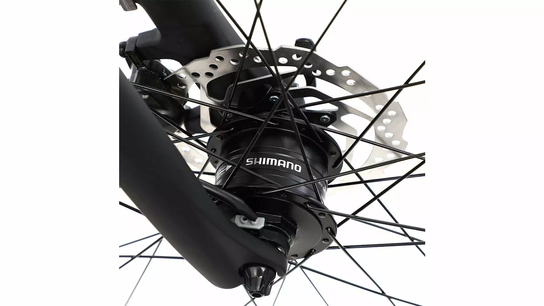 Bergamont Sponsor Disc Gent 3 Bergamont Sponsor Disc Gent – Bild 3