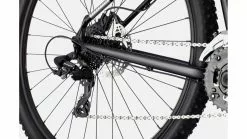 Cannondale Trail 8 17 Cannondale Trail 8 -TREKKINGRÄDER Verkäufe az Cannondale Trail 8 5 grey 217748