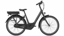 Gazelle Arroyo C7+ HMB Platin